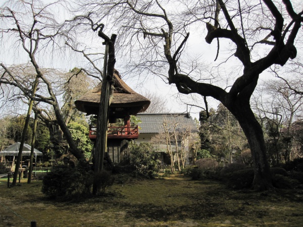 光丸山法輪寺の西行桜